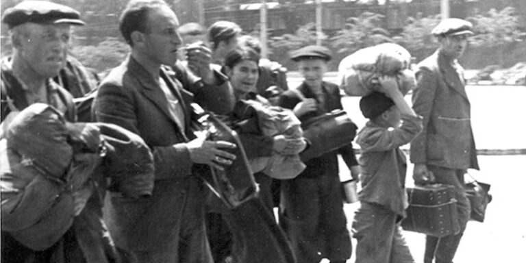 Translating Holocaust Literature in Times of Genocide