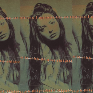 Some Perfect Exact Words: On the Real Legacy of Elizabeth Wurtzel