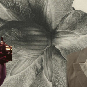 Lit Hub Daily: February 27, 2026