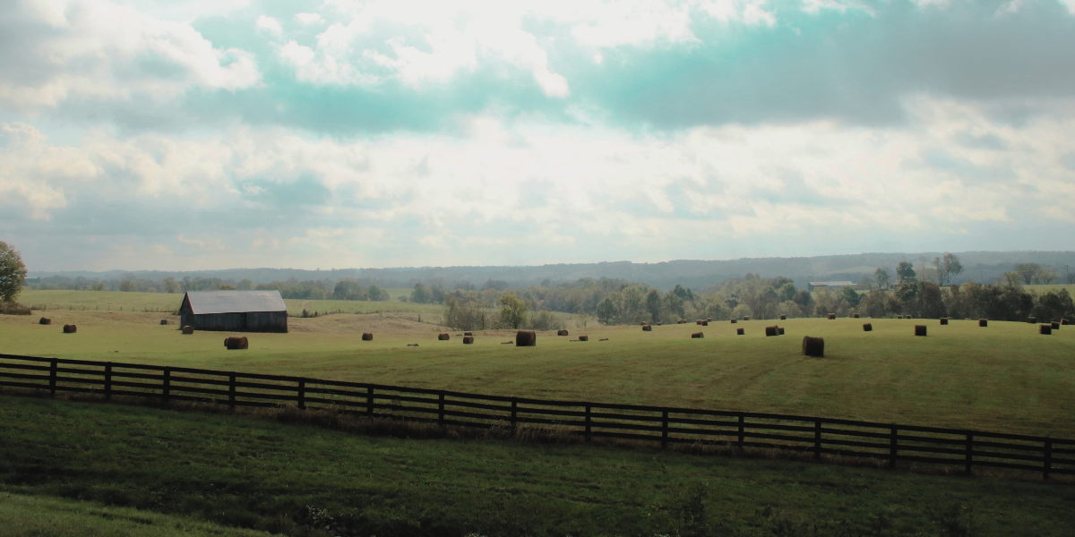 Suffering Under the Speaker: On Louise Glück, Garth Greenwell, and Vocal Duality