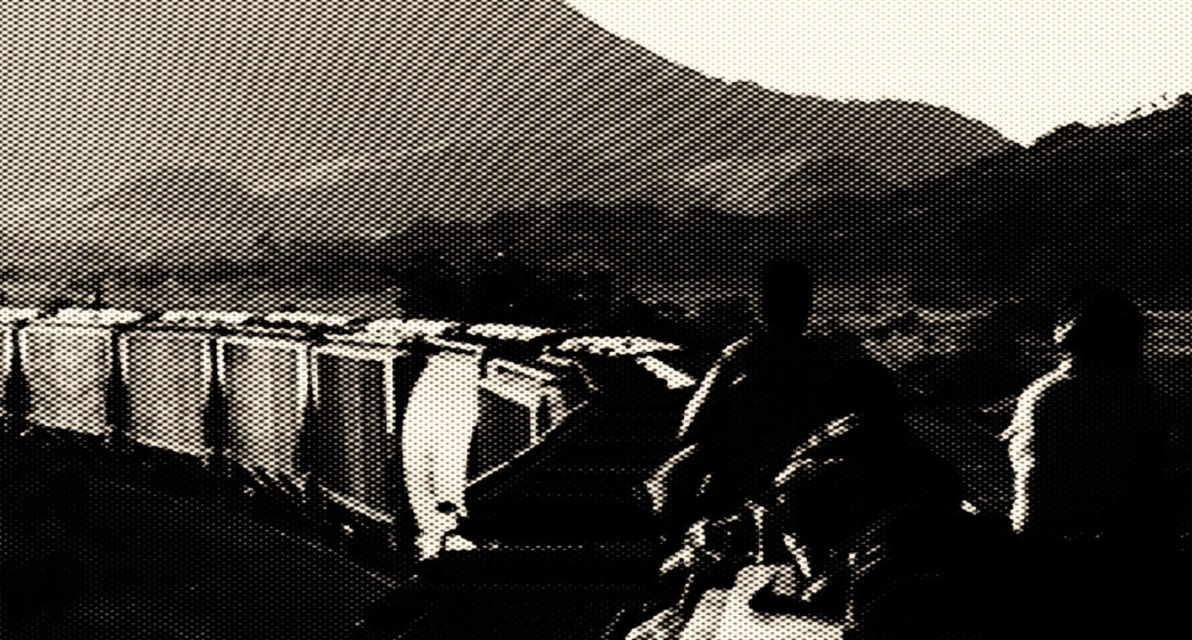 Whose Journey? On the Travel Writing of Displacement