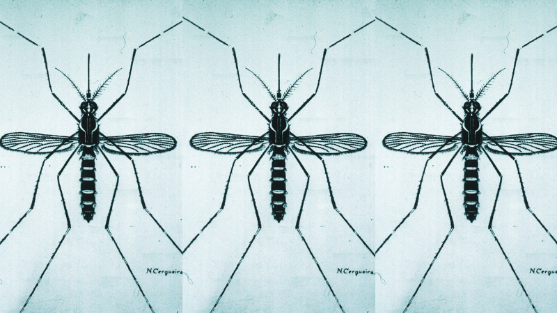 F. Scott Fitzgerald on Battling Insomnia (and a Single Mosquito)