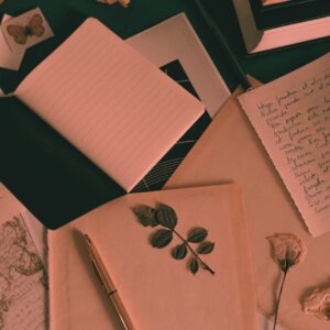 Writing the Books We Want Write