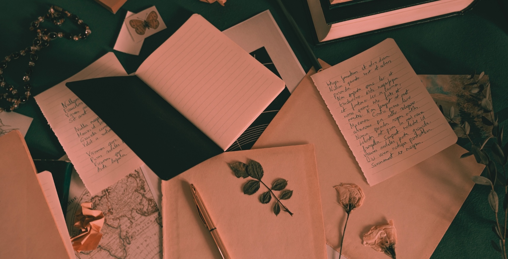 Writing the Books We Want Write