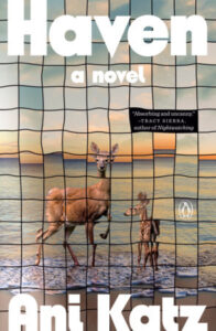 Haven, Ani Katz