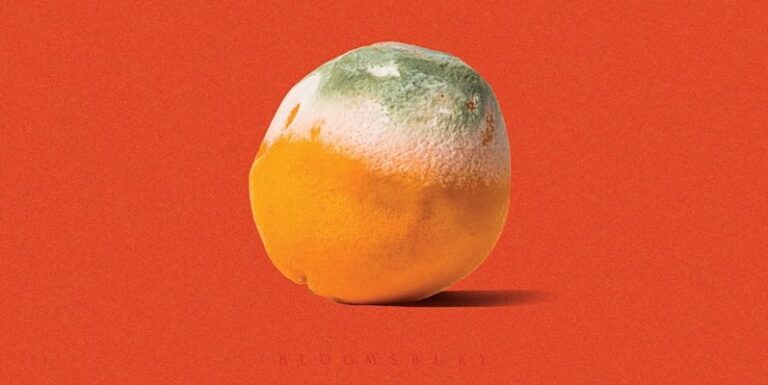 Ben Lerner, Patrick Radden Keefe, Emma Straub, and more: 25 new books out today!