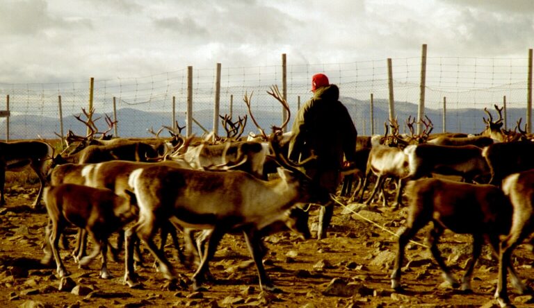 On the Complexities of Navigating Indigenous Life in a Relentlessly Modern World