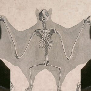 Lit Hub Daily: March 4, 2026