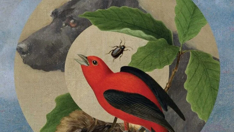 A Resonant Silence: Heather Cleary on Translating María Ospina’s Only a Little While Here