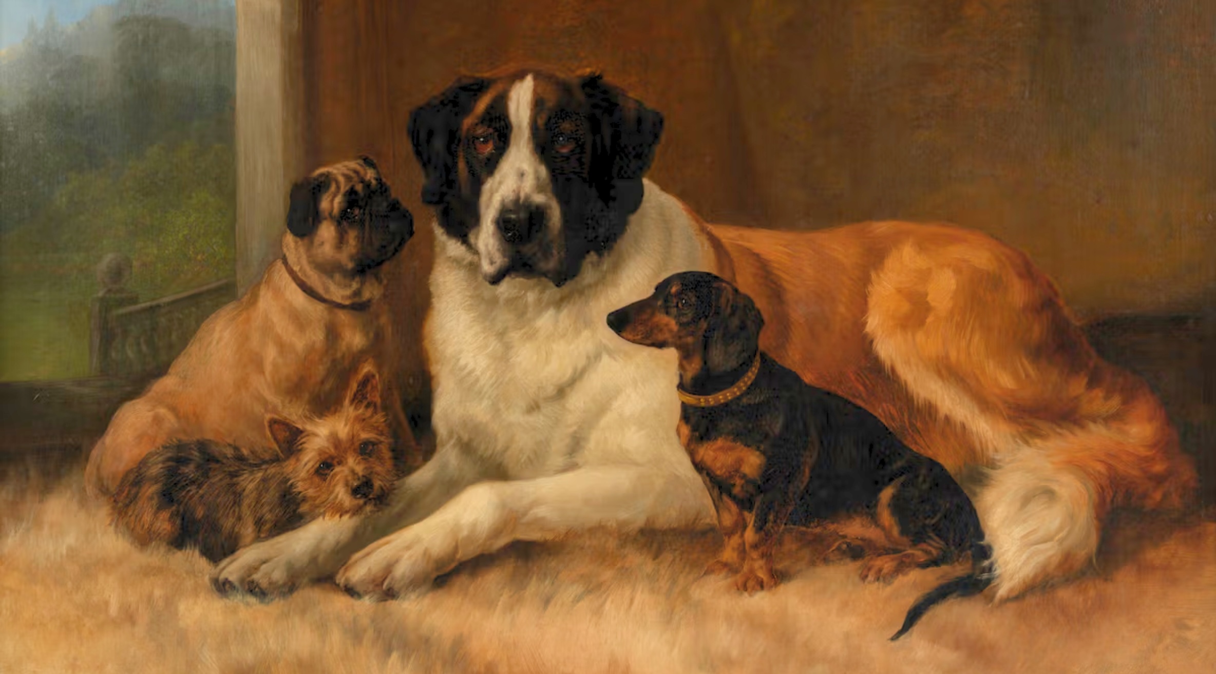 In Defense of Pet Portraiture as a Worthy Art Form