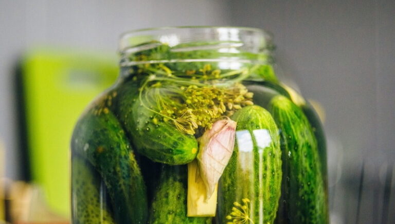 A Brief and Essential History of the Most Important Food Ever Invented: The Pickle