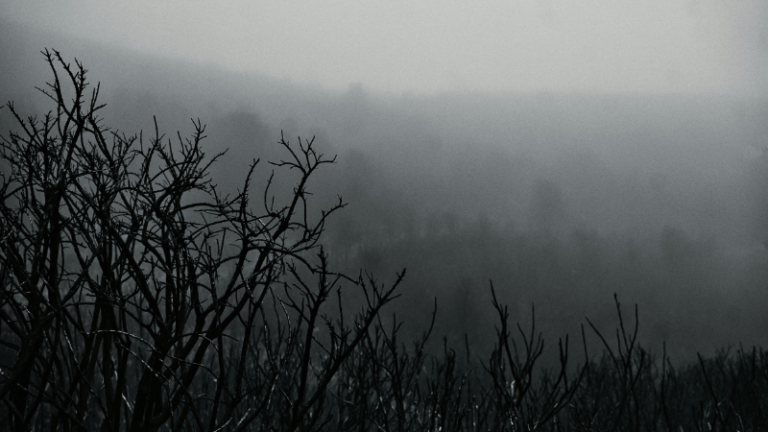 “Horror Movie Where We Survive,” a Poem by Maya Salameh