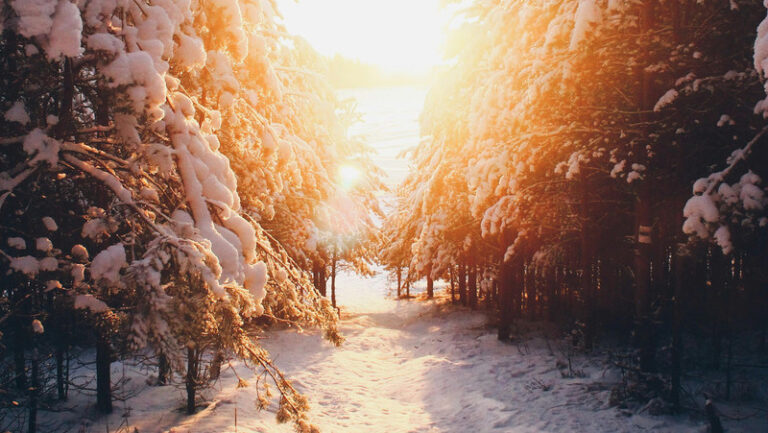 “Late Winter Walk,” a Poem by Julia Alvarez