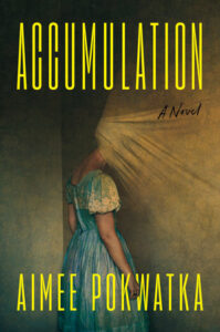 Accumulation, Aimee Pokwatka