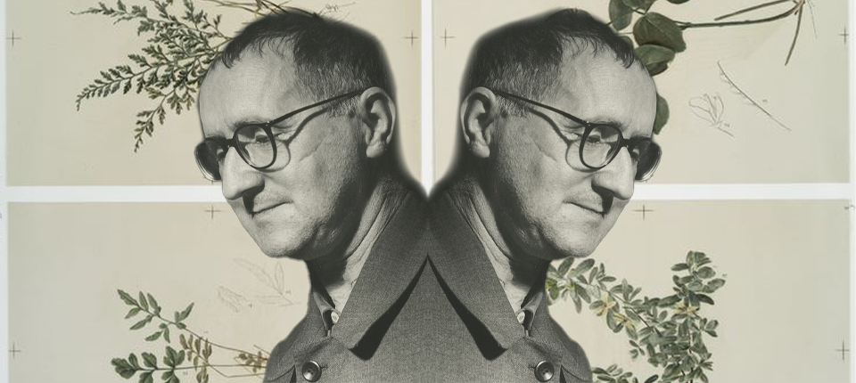 Lit Hub Daily: April 30, 2026