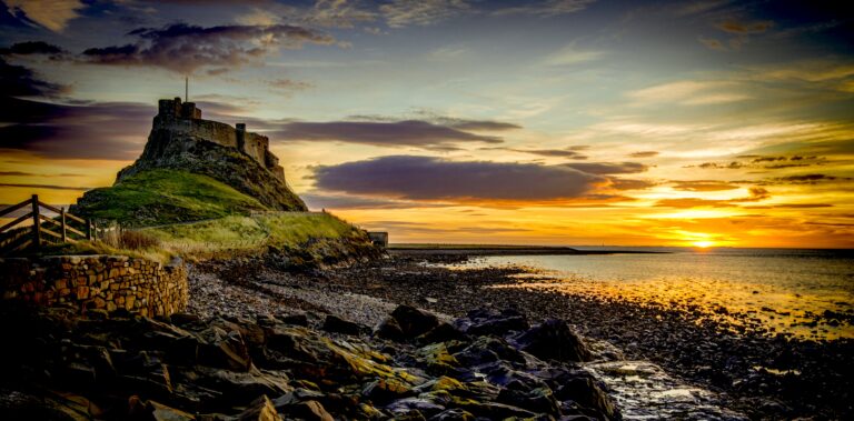 On the 1966 Poem That Warns of Bio-Acoustic Die-Off and the Destruction of Our Soundscapes