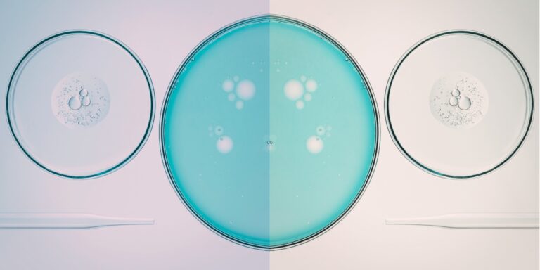 Leila Chatti on the Many Ways to Be (and Not to Be) a Mother