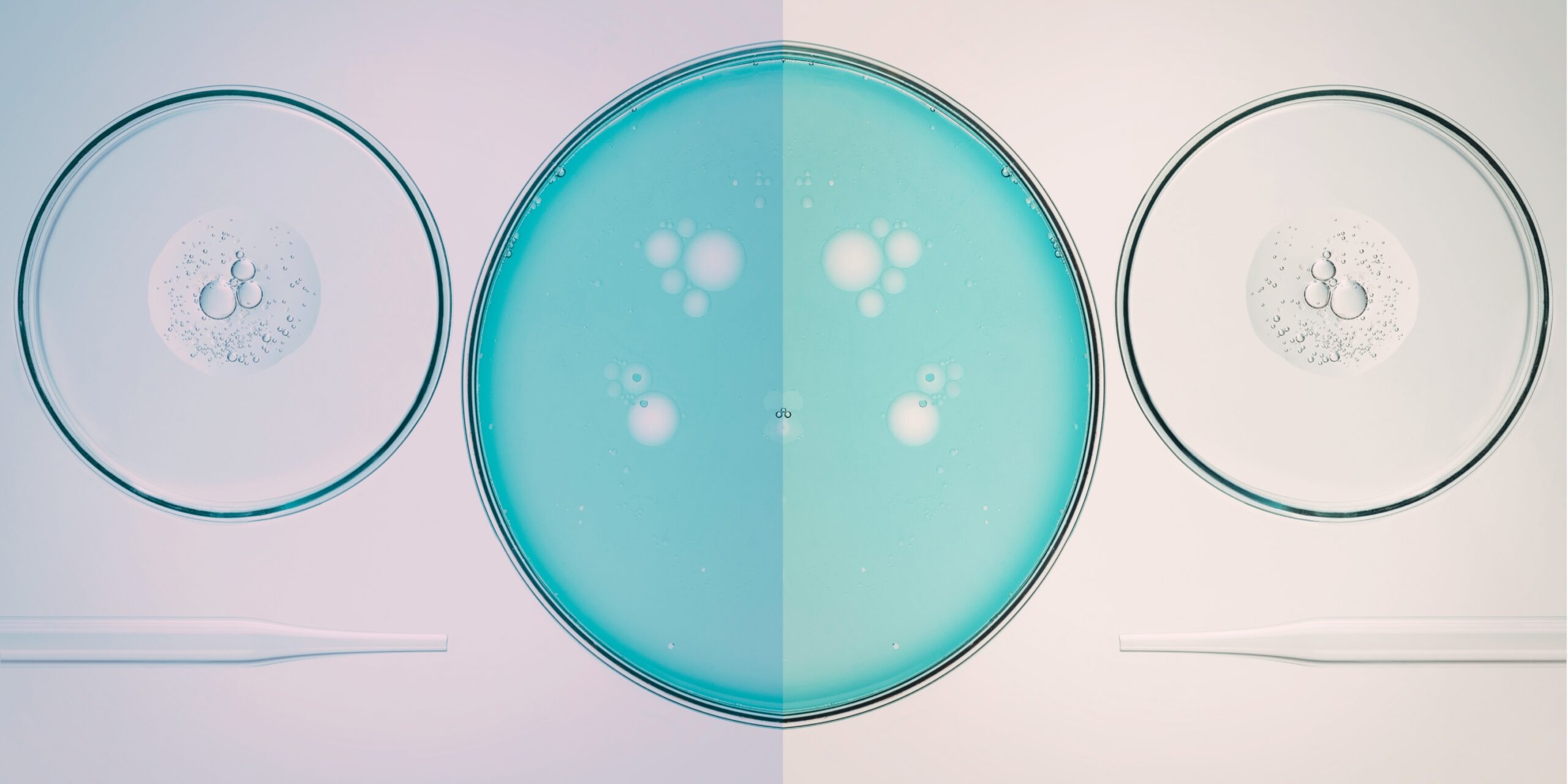 Leila Chatti on the Many Ways to Be (and Not to Be) a Mother