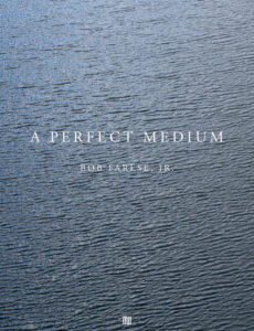 A Perfect Medium, Bob Farese