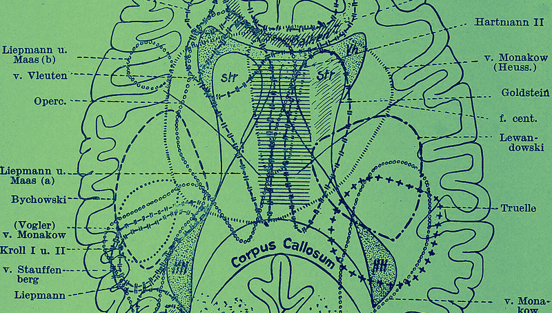 The Medicalization of Madness: How Schizophrenia Was Treated Throughout the Ages