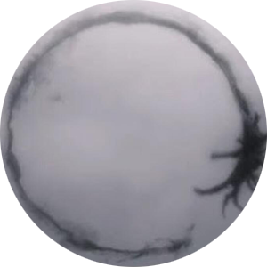 Post image 42