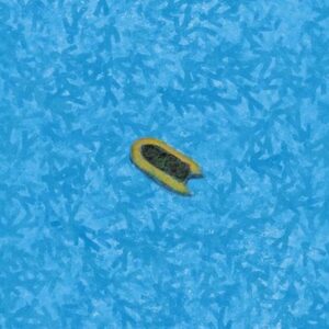 The 11 Best Book Covers of April