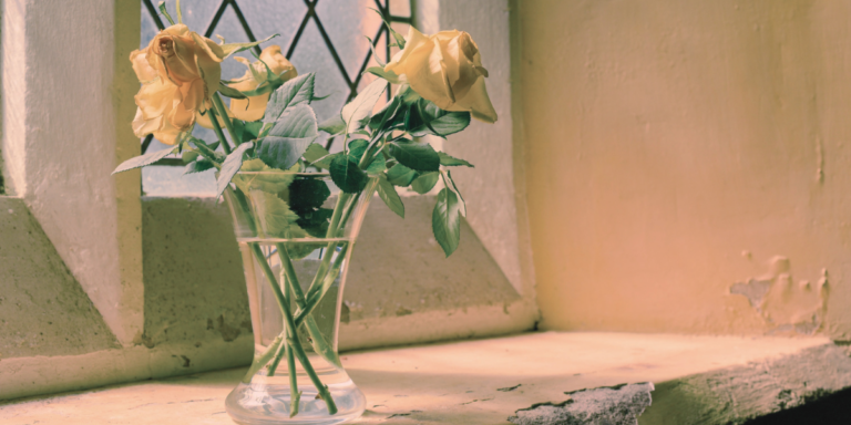 Aja Gabel on Love and Grief