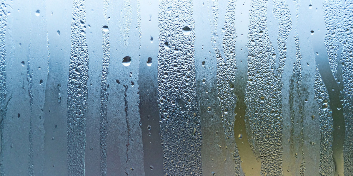 Why We All Hate the Word “Moist” So Much