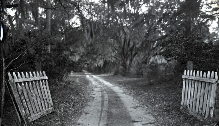 On Learning About the Enslaved Men Who Dug South Carolina’s Lowcountry Canals