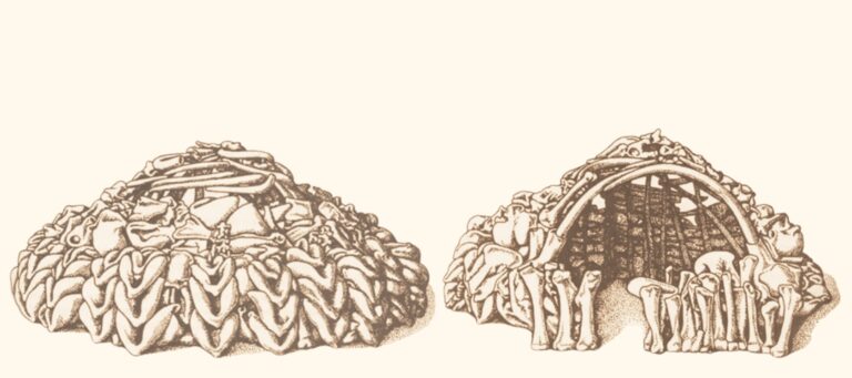 On Humanity’s Earliest Attempts to Make a Home