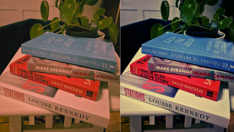 The Annotated Nightstand: What Anne Enright is Reading Now, And Next