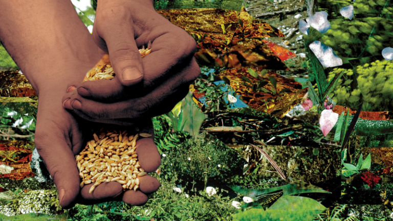 On the Urgent Need to Dismantle Food Apartheid in the United States