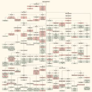 On the Particular Joys of Etymology and Polyglot Prose