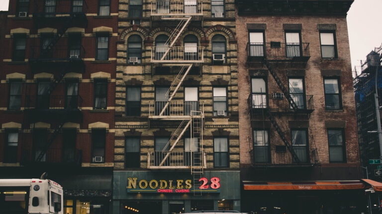 New York Pastoral: Sitting Outside and Inside With Eileen Myles
