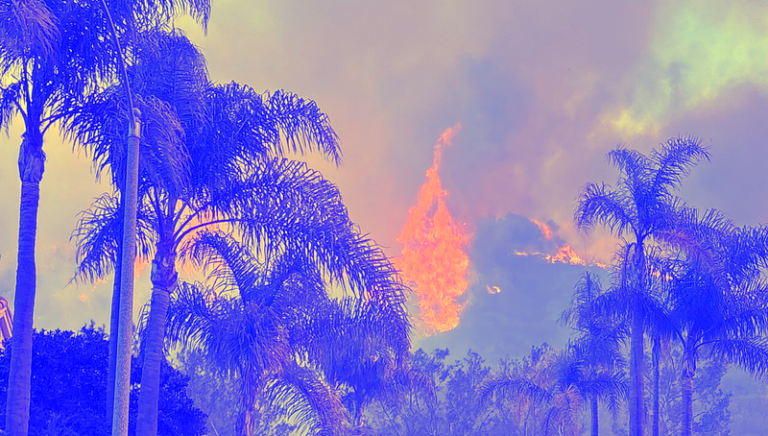 What We Can—and Must—Learn From the Burning of Pacific Palisades