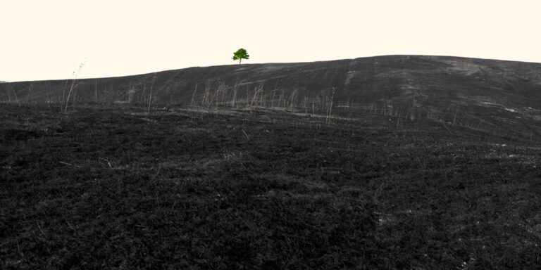 Lessons in Living in the Anthropocene (From the World’s Most Pessimistic Climate Writer)