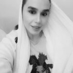 Shohreh Laici