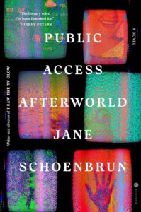 Jane Schoenbrun, Public Access Afterworld