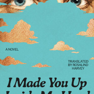 I Made You Up Inside My Head