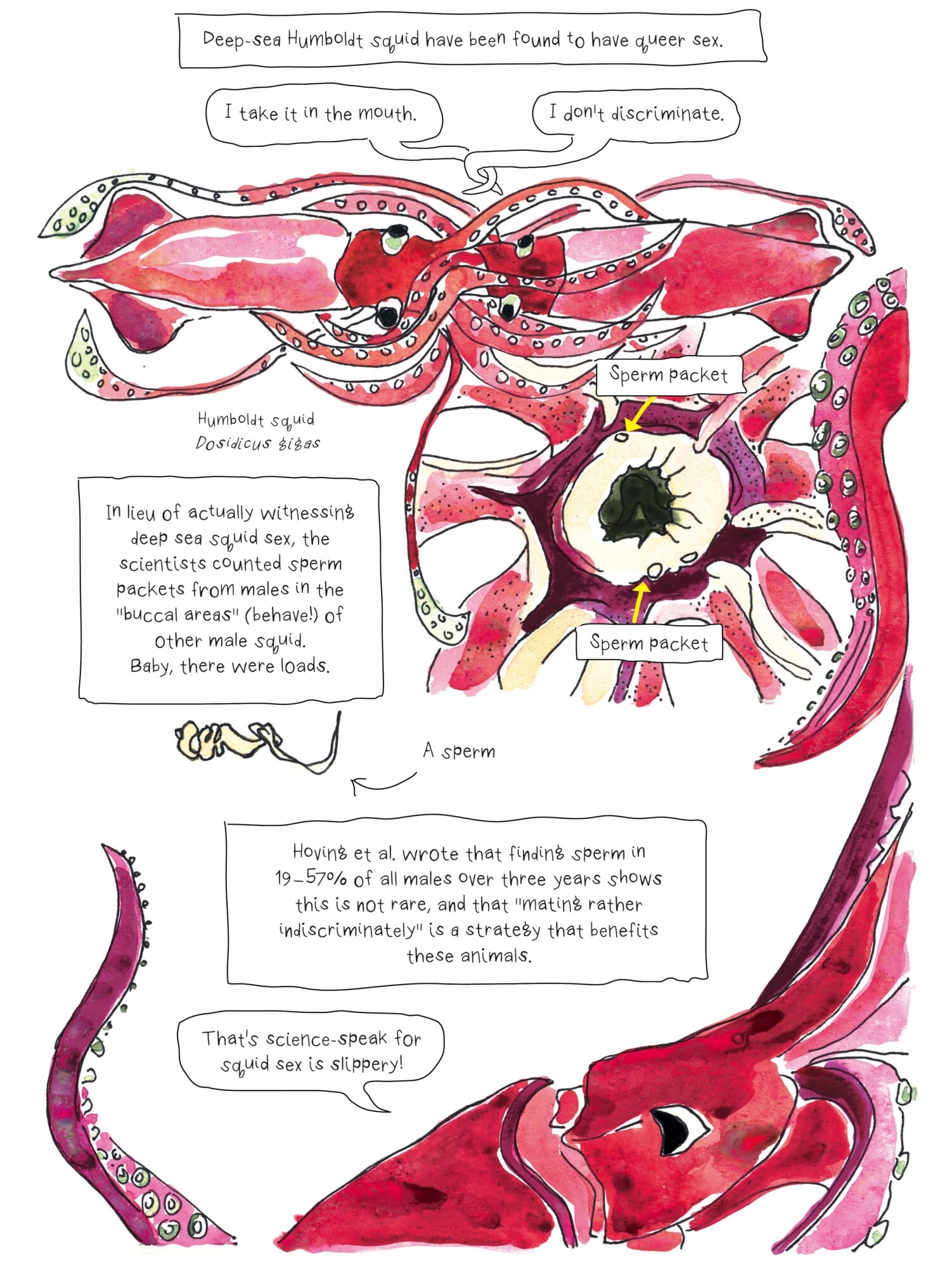 poking the squid