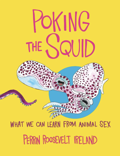 poking the squid