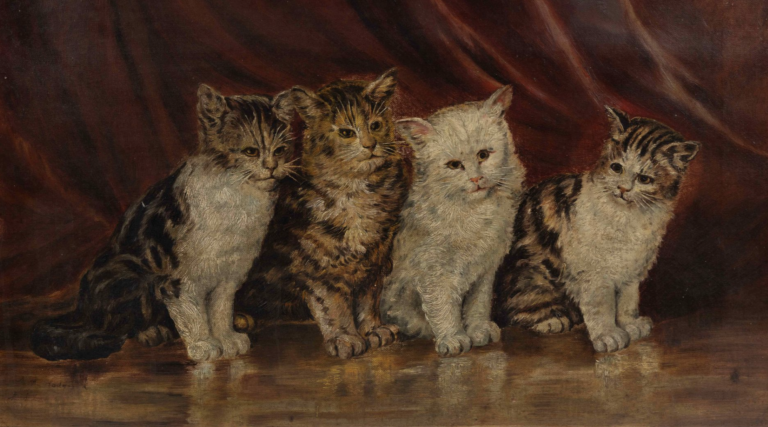 Stacey Yu Recommends Books About Cats (and Their Owners)