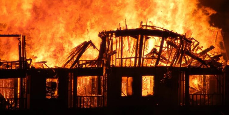 How Kevin Tubbs and the Earth Liberation Front Brought Eco-Arson to America