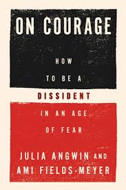 Julia Angwin, On Courage