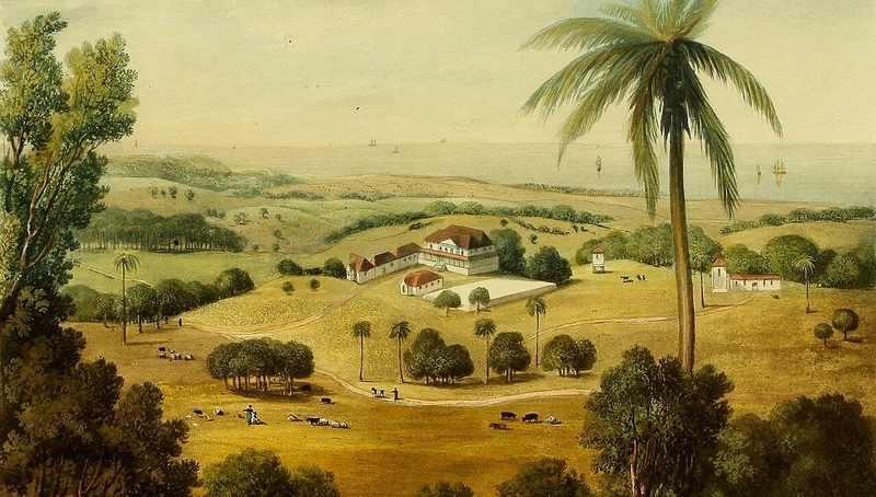A Global Journey: Understanding Centuries of Black Exclusion and Erasure in Healthcare