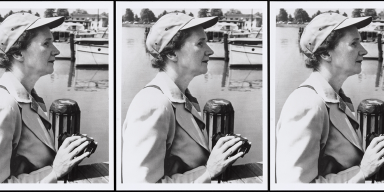 Silent Springs, Windswept Seas: On the Environmental Vision 