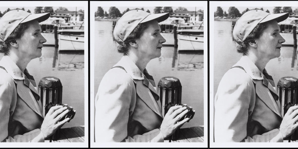 Silent Springs, Windswept Seas: On the Environmental Vision of Rachel Carson