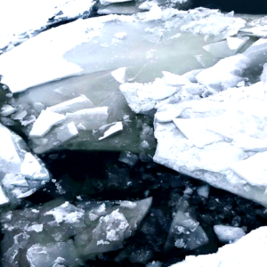 Beyond Cli-Fi: Why Every Story is a Climate Change Story