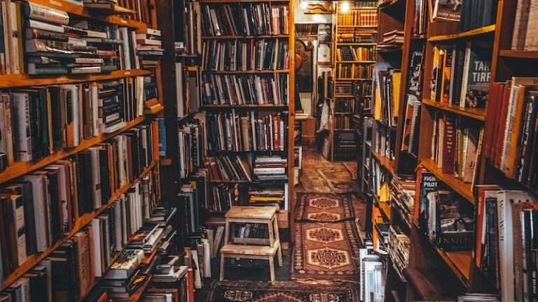A Bookstore Boom in a Time of Literacy Decline