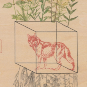Break to Sing: Seven New Poetry Collections to Read in July
